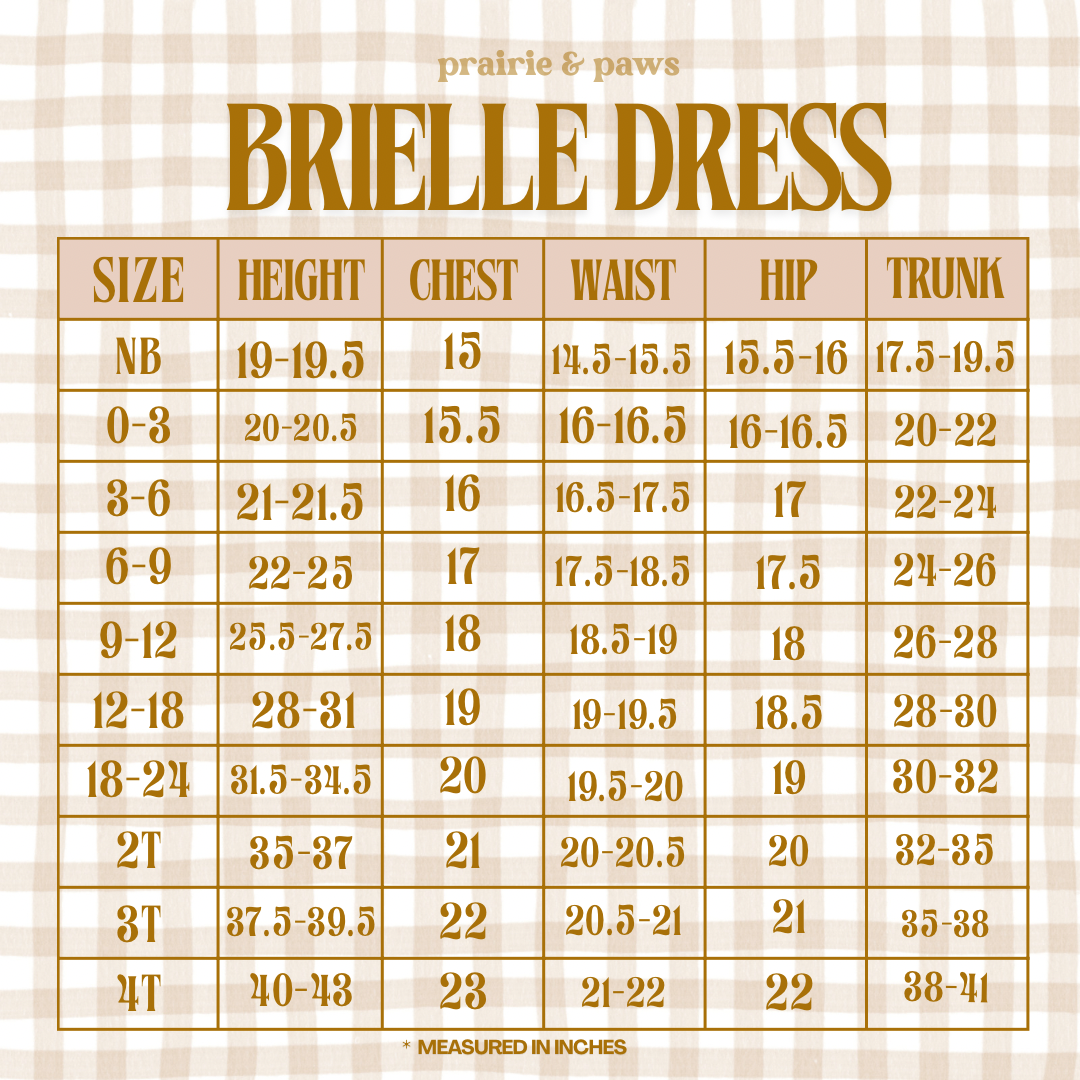 BRIELLE DRESS