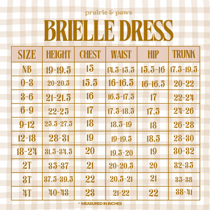 BRIELLE DRESS